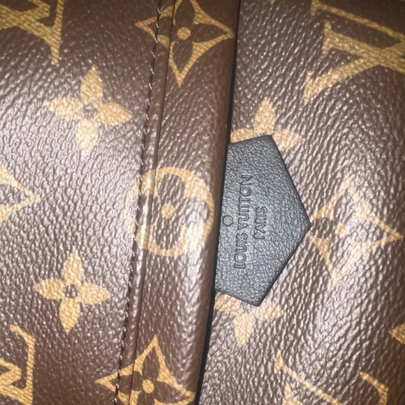 Louis Vuitton Mini Palm Springs
